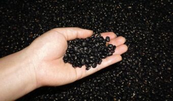 The One-Peso Superfood That Supports Bone Strength After 60
