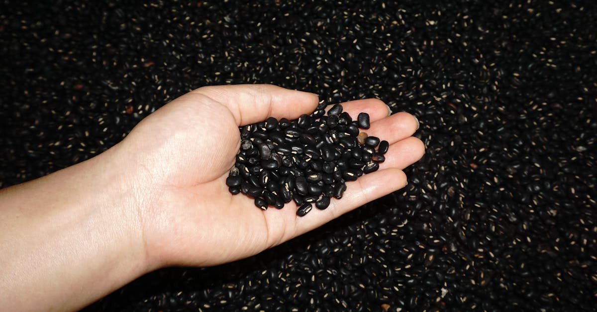 The One-Peso Superfood That Supports Bone Strength After 60