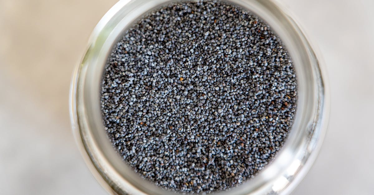 How to Rebuild Muscle After 70: The Small Seed Your Body Can Actually Use