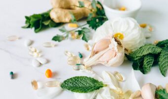 Milk Thistle: The Overlooked Natural Support for Liver, Kidneys, and Digestion