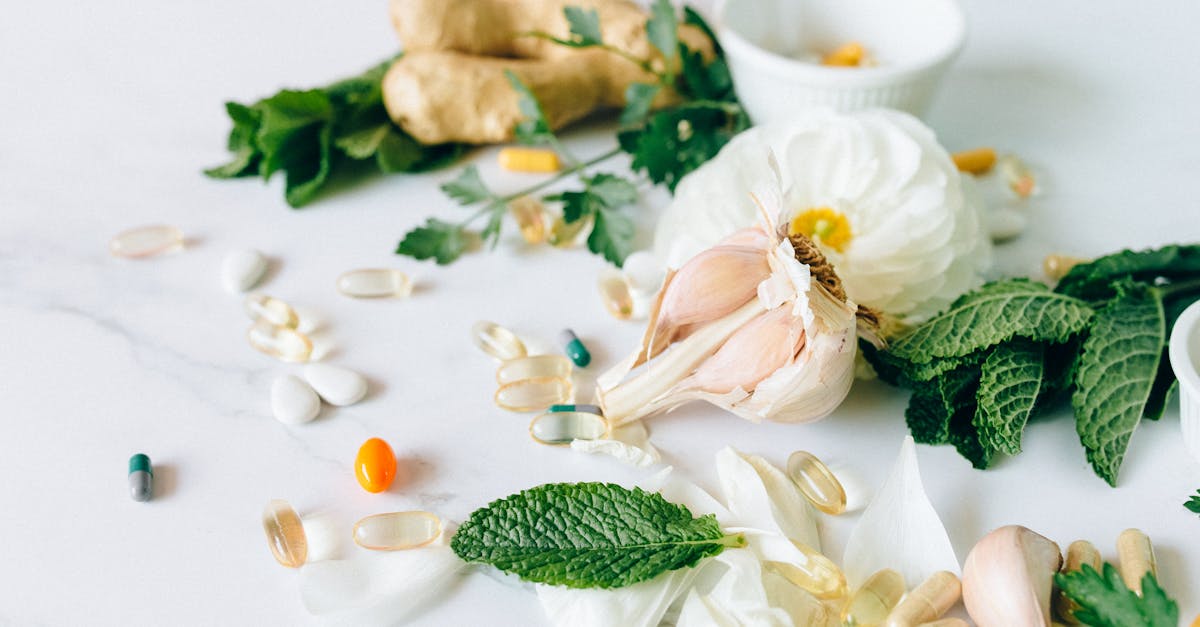 Milk Thistle: The Overlooked Natural Support for Liver, Kidneys, and Digestion