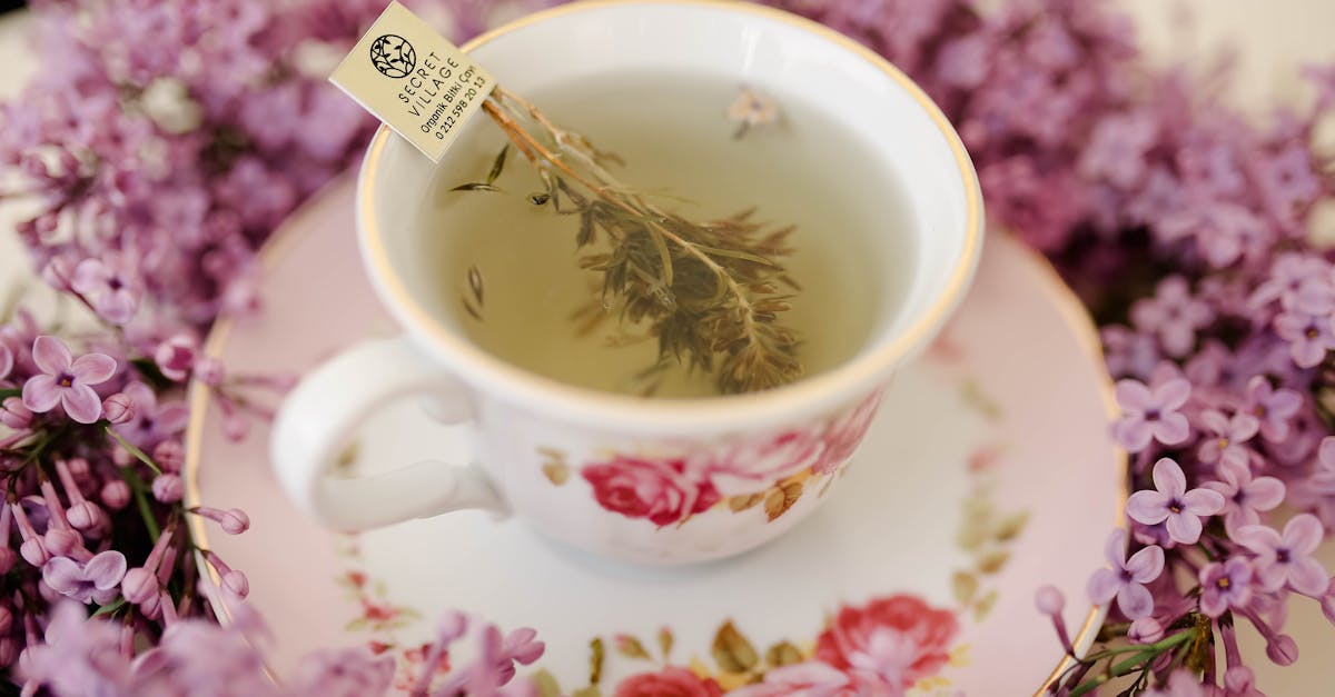 Clove Tea: A Rediscovered Natural Support for Daily Wellbeing